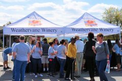 Yadkin Valley Grape Festival 2022