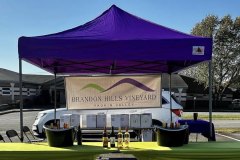 yadkin-valley-grape-festival-2022-3