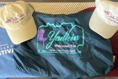 yadkin-valley-grape-festival-2022-5